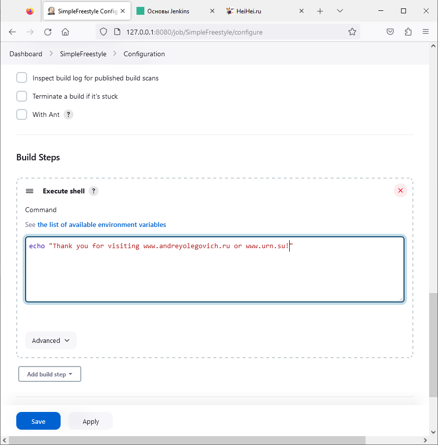 Jenkins Freestyle project bash изображение с сайта www.eth1.ru
