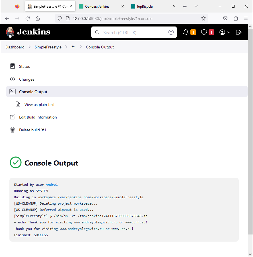 Jenkins Freestyle project bash изображение с сайта www.eth1.ru